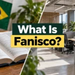 What Is Fanisco? Meaning and Different Contexts Explained
